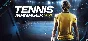 Tennis Manager 2021 💎 АВТОДОСТАВКА STEAM GIFT РОССИЯ