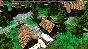 Siege of Turtle Enclave 💎 STEAM GIFT RU