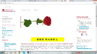 1000RUB - Сертификат оплаты на сайте PERMROZA.RU