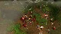Battle Realms: Zen Edition 💎 STEAM GIFT RU