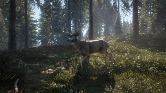 theHunter: Call of the Wild (Steam/ Global)