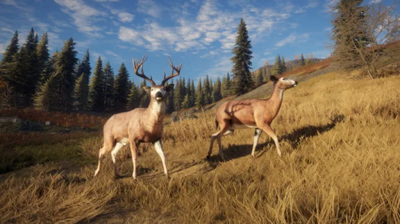 theHunter: Call of the Wild (Steam/ Global)