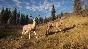 theHunter: Call of the Wild (Steam/ Global)