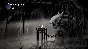 🌍 Hollow Knight: Voidheart Edition XBOX KEY 🔑+GIFT 🎁