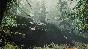 The Forest ONLINE (NO ACTIVATOR/GLOBAL/STEAM )