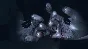 Phasmophobia ONLINE (NO ACTIVATOR/STEAM ACCOUNT)