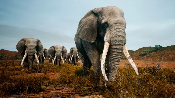 Animalia Survival 💎 АВТОДОСТАВКА STEAM GIFT РОССИЯ