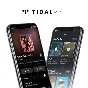 📢TIDAL HiFi PLUS 1 MONTH★PRIVATE ACCOUNT★WARRANTY 💯