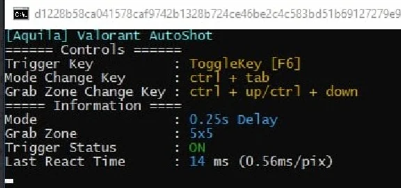 private cheat Autoshot Aquila for the Valorant 15 days