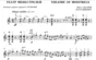 Zakharov Pavel. Theatre Of Minstrels / violin part