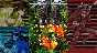 VASARA Collection Steam Key Region Free