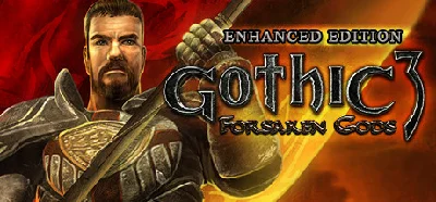 Gothic 3: Forsaken Gods Enhanced Edition (STEAM KEY)
