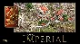 Imperivm RTC - HD Edition "Great Battles of Rome" STEAM