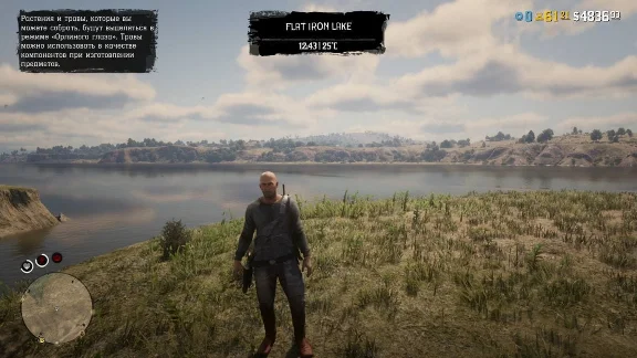 Red Dead Redemption 2 (Online) Boosted accounts