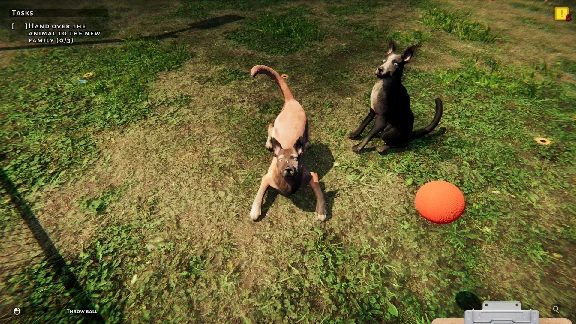 Animal Shelter * RU/KZ/CIS/TR/AR * STEAM 🚀 AUTO