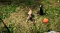 Animal Shelter * RU/KZ/СНГ/TR/AR * STEAM 🚀 АВТО