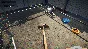 Animal Shelter * RU/KZ/CIS/TR/AR * STEAM 🚀 AUTO