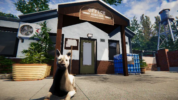 Animal Shelter * RU/KZ/CIS/TR/AR * STEAM 🚀 AUTO
