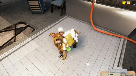 Animal Shelter | Steam Gift Россия