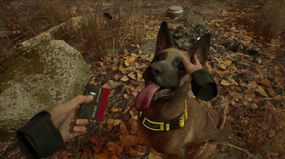 Blair Witch VR (Steam Key) + Bonus