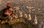 🎁FALLOUT: NEW VEGAS (Steam)(RU/ CIS)
