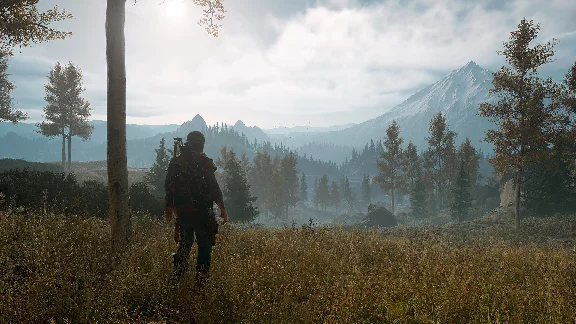 🎮 Days Gone (Steam) GLOBAL No commission (0%💳)/ KEY🔑