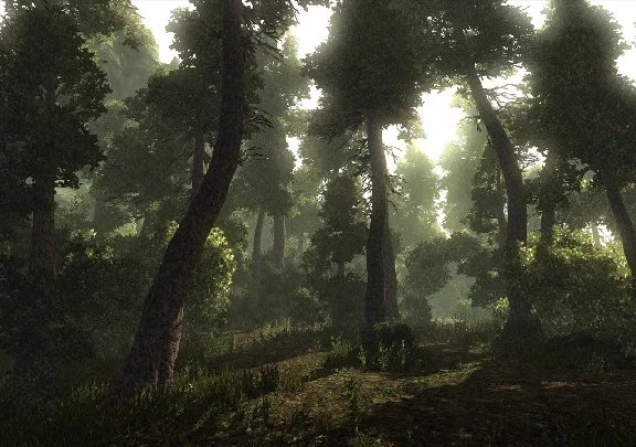 Risen 💎 АВТОДОСТАВКА STEAM GIFT РОССИЯ