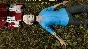 Accident (Steam key / РФ+Весь Мир)