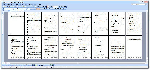 Economic part for the thesis in programming