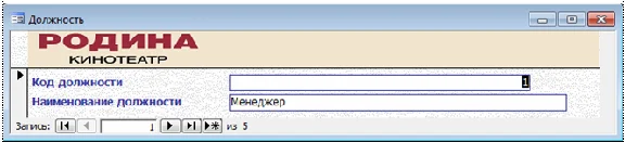 Database Cinema Access