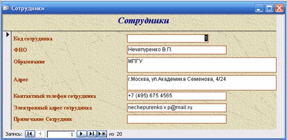 Database Grocery Store Access