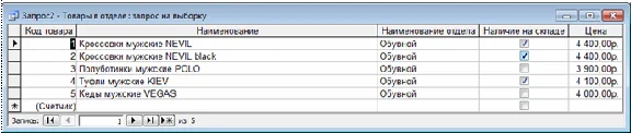 Database Department Store Access