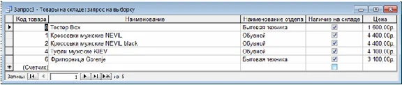 Database Department Store Access