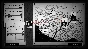 ✅Interrogation: You will be deceived⭐️Steam REGION FREE