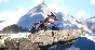 Century: Ages of Ashes - Lone Roar Pack DLC STEAM ROW🎁
