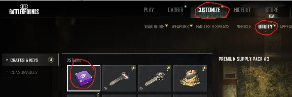 Amazon Prime NEW Supply Pack #3 PUBG ONLY noprime