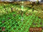 ✅ASCENSION TO THE THRONE⭐️ STEAM KEY REGION FREE ROW