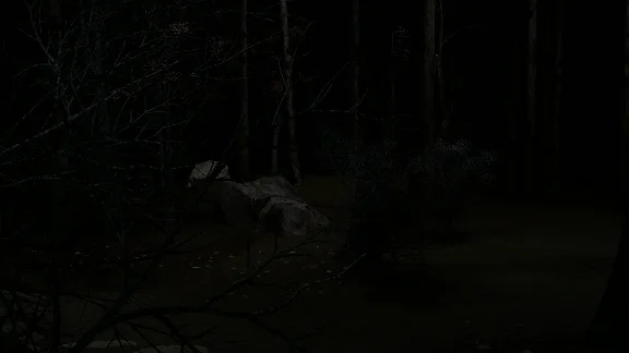 Blood Trail 💎 АВТОДОСТАВКА STEAM РОССИЯ