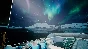Fishing: Barents Sea - King Crab 💎 DLC STEAM GIFT RU