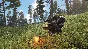 SCUM ONLINE \ PERSONAL NEW STEAM ACCOUNT + MAIL ACCOUNT