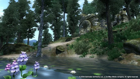 The Elder Scrolls IV: Oblivion Year Edition GOG ACCOUNT