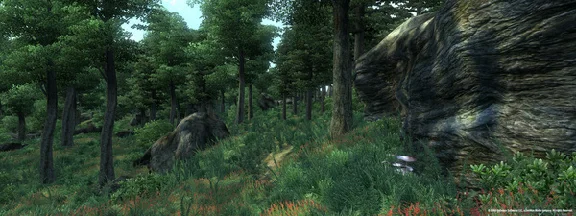 The Elder Scrolls IV: Oblivion Year Edition GOG ACCOUNT