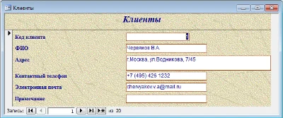 Database Access Store