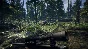 Survive the Nights * RU/KZ/CIS/TR/AR * STEAM 🚀 AUTO