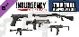Insurgency: Sandstorm - Two-Tone Weapon Skin Set 💎 DLC