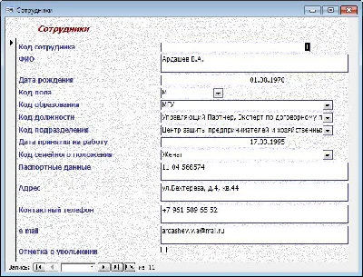 Database Human Resources Department of a Law Firm.mdb