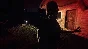 Survive the Nights 💎 АВТОДОСТАВКА STEAM GIFT РОССИЯ