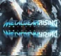 ✅METAL GEAR RISING: REVENGEANCE ⭐Steam\RegionFree\Key⭐