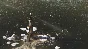 Disco Elysium - The Final Cut STEAM Russia