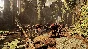 Warhammer: Vermintide 2 /STEAM ACCOUNT / WARRANTY